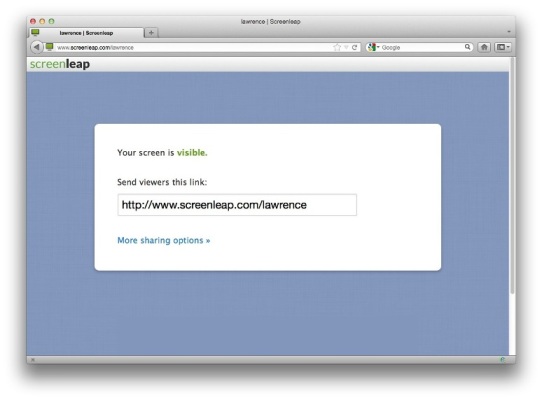 Share Your Screen Sharing Handle